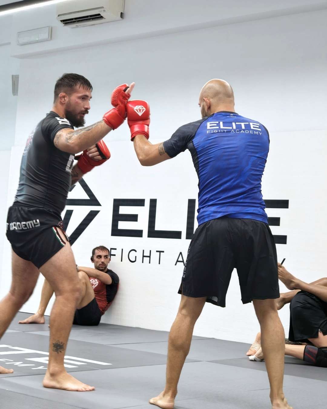 Due atleti di MMA si scambiano colpi in piedi durante lo sparring