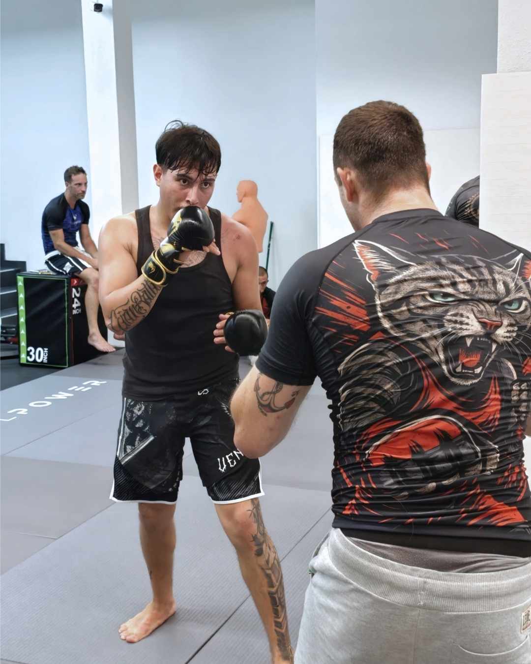 Sparring di MMA tra due atleti, uno con guantoni nero e oro